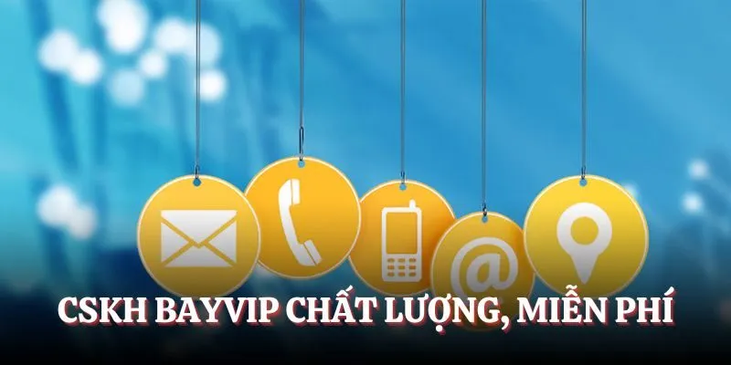 CSKH Bayvip chất lượng, miễn phí
