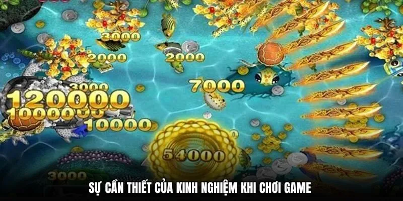 Sự cần thiết của kinh nghiệm khi chơi game