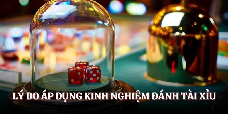 Nắm bắt những lối chơi này sẽ giúp bạn tự tin hơn