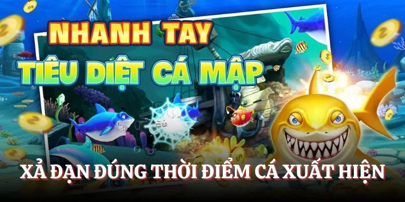 Tập trung xả đạn vào đúng thời điểm mà cá xuất hiện