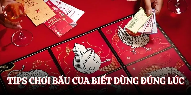                                      Biết điểm dừng khi chơi bầu cua
