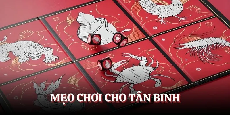                                 Các mẹo chơi phổ biến dành cho tân binh